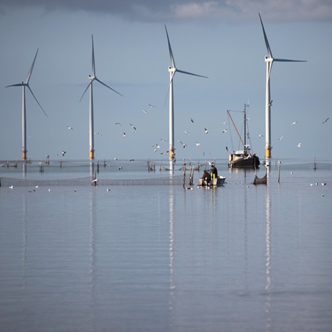 Support for fisheries | Offshore Wind at RWE