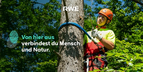 Ein Baumkletterer arbeitet sorgfältig an einem Baum, um Mensch und Natur zu verbinden.