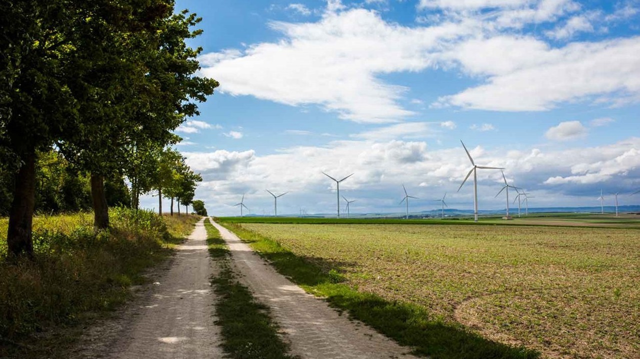 A dirt path lined with trees leads to wind turbines in a vast green field under a partly cloudy sky.