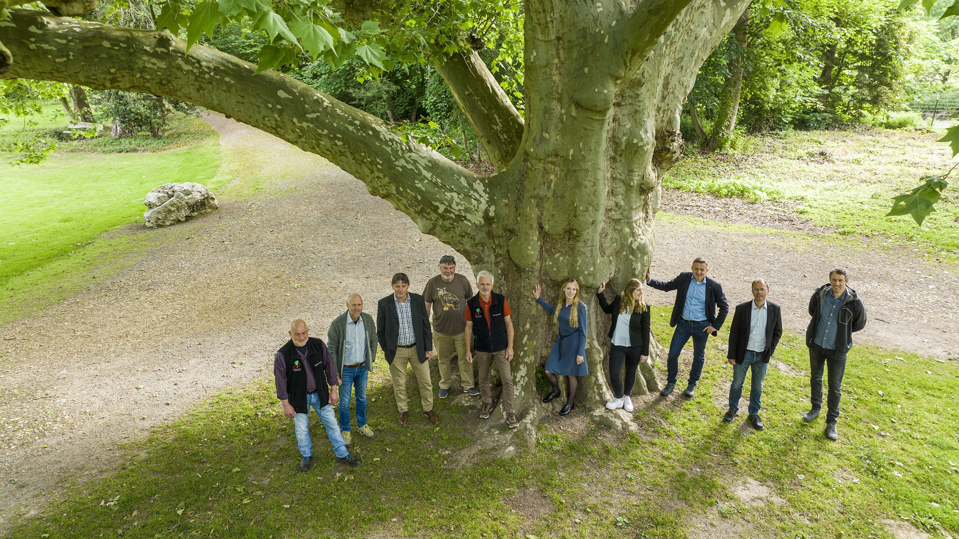 Eine Gruppe von Menschen steht unter einem großen Baum im Park, auf dem Rasen und dem Weg.