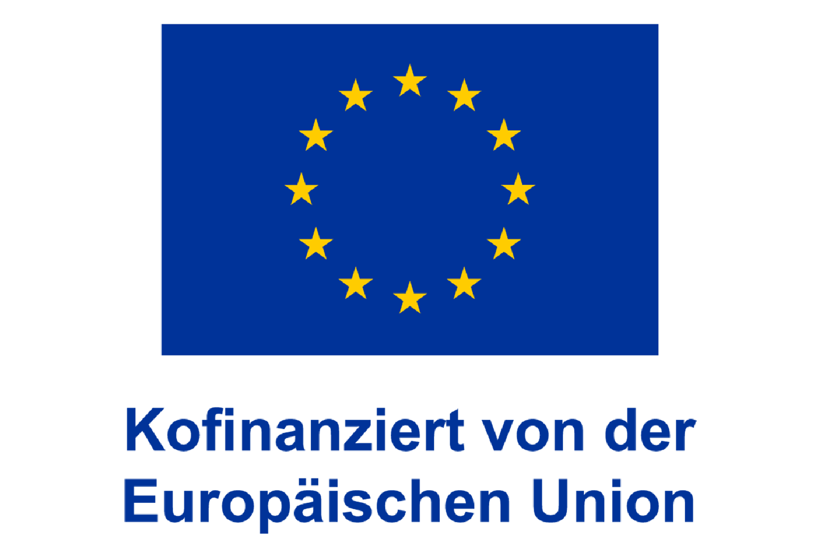 Die Flagge der Europäischen Union mit zwölf gelben Sternen, die in einem Kreis auf blauem Hintergrund angeordnet sind.