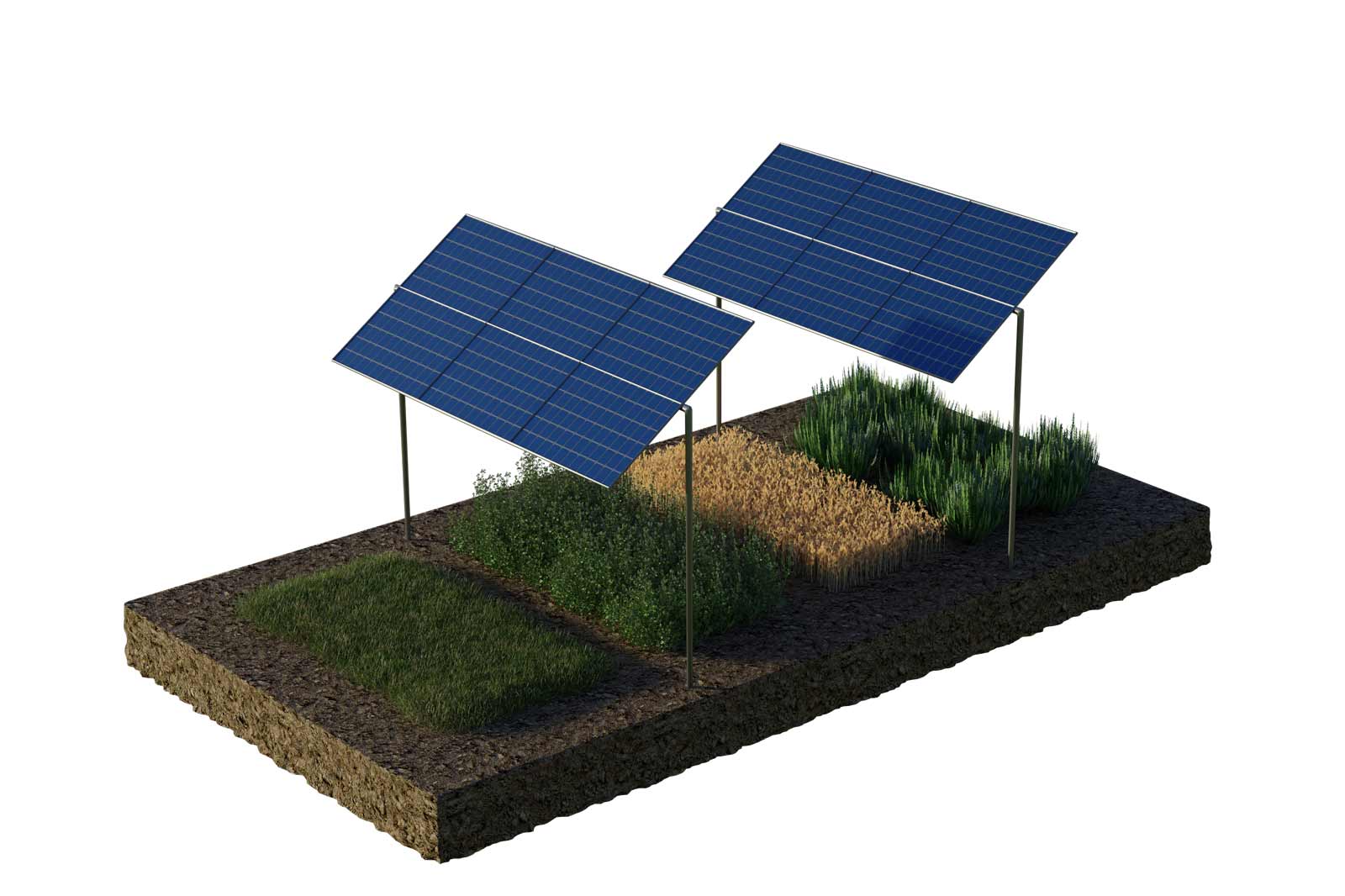 A solar panel installation over cultivated land featuring various crops such as wheat and herbs.
