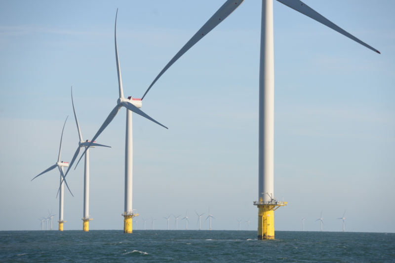 A line of white offshore wind turbines with yellow cylindrical bases rises from the calm blue sea under a pale sky.