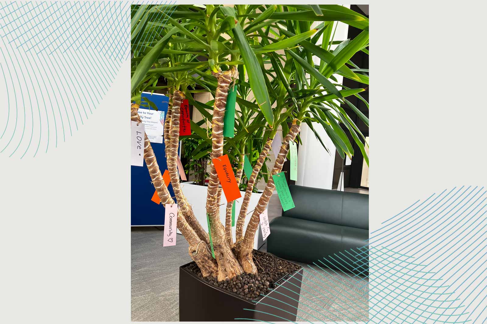 A plant with multiple stems stands in a pot. Colourful tags hang from the branches, featuring words like 'Love' and 'Community'.