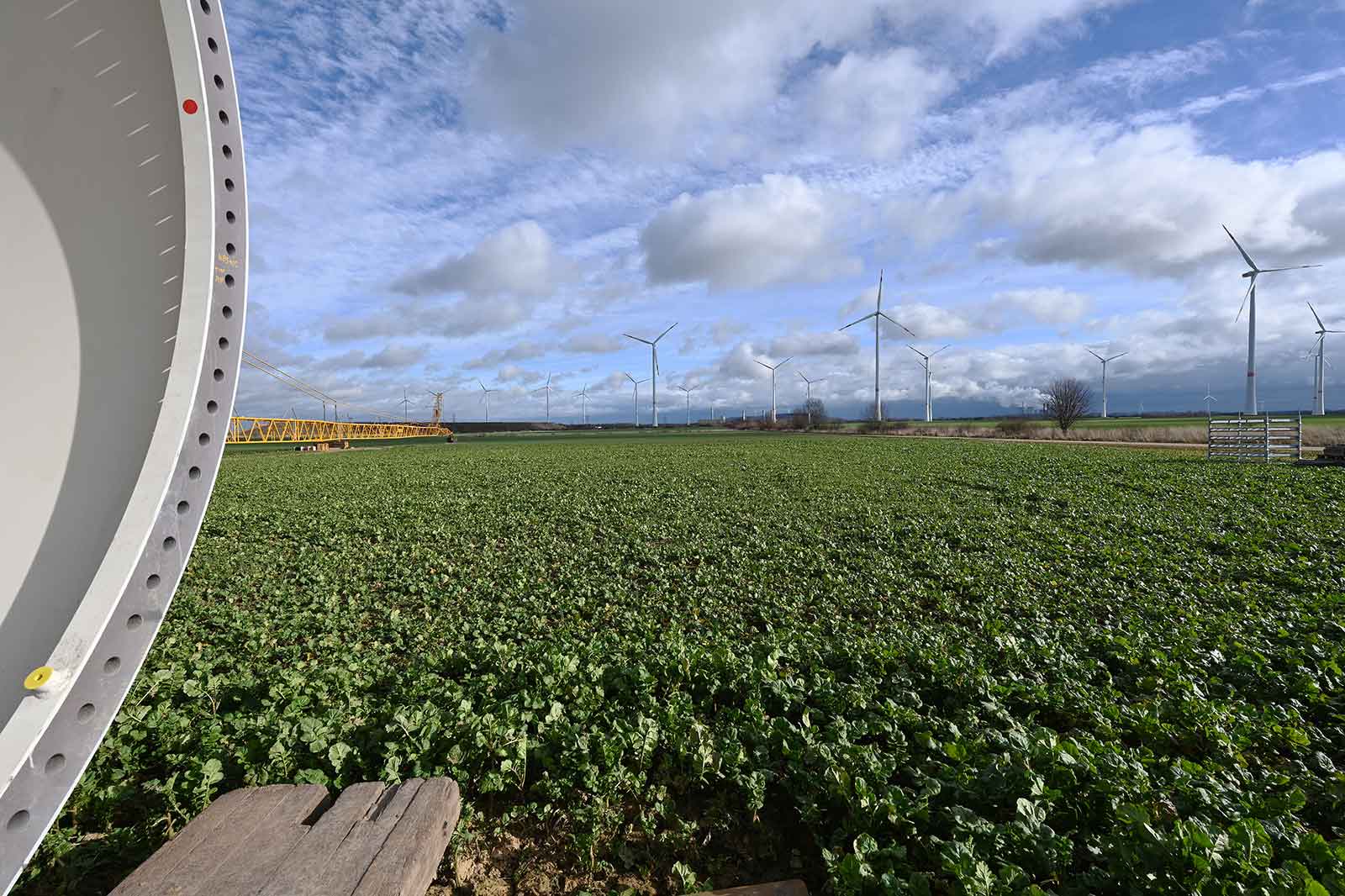 Eine grüne Feldlandschaft mit Windkraftanlagen im Hintergrund und einem großen runden Objekt im Vordergrund.