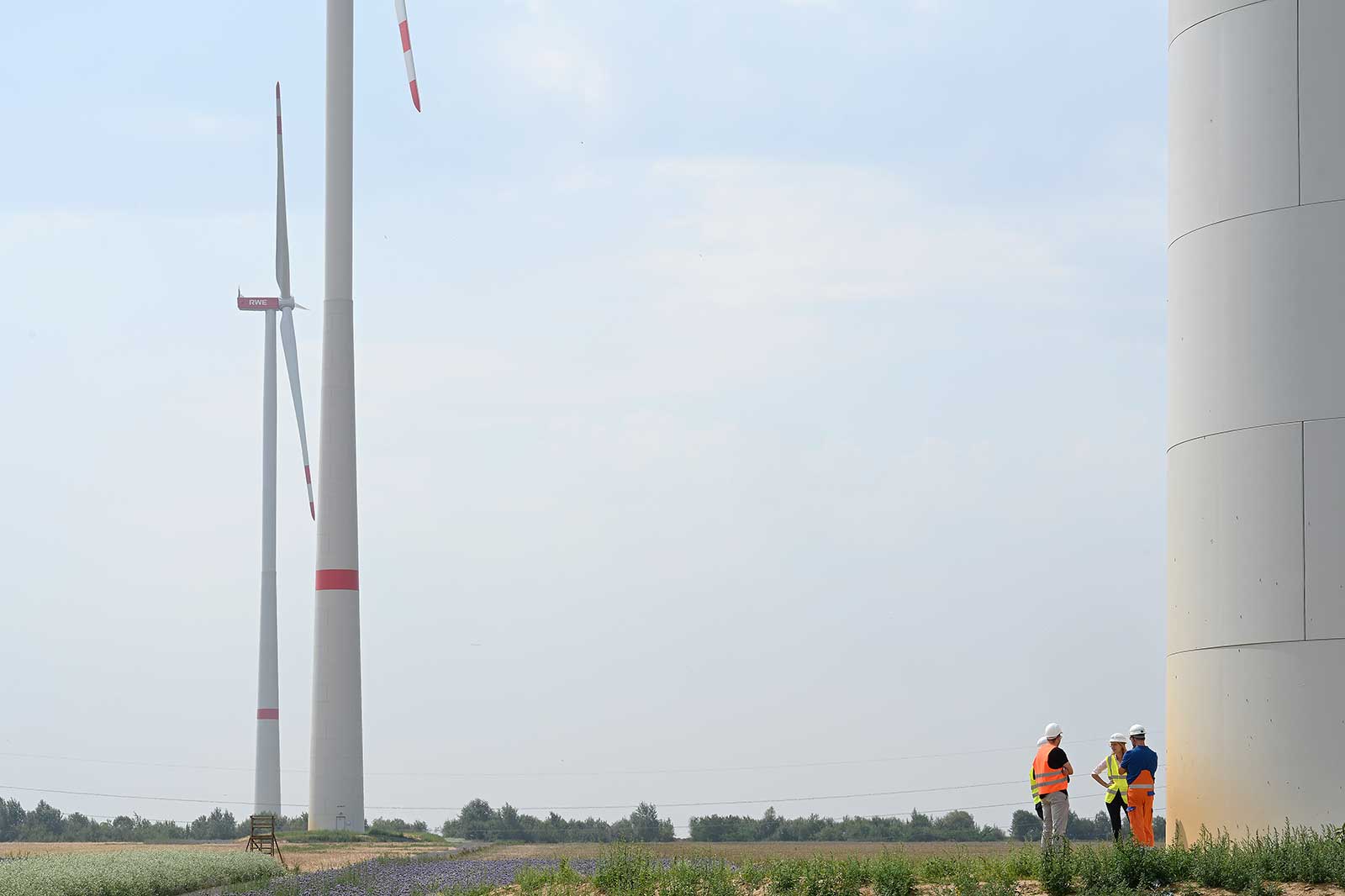Zwei Arbeiter inspizieren eine Windturbine auf einem Feld mit blühenden Blumen und einer weiteren Turbine im Hintergrund.