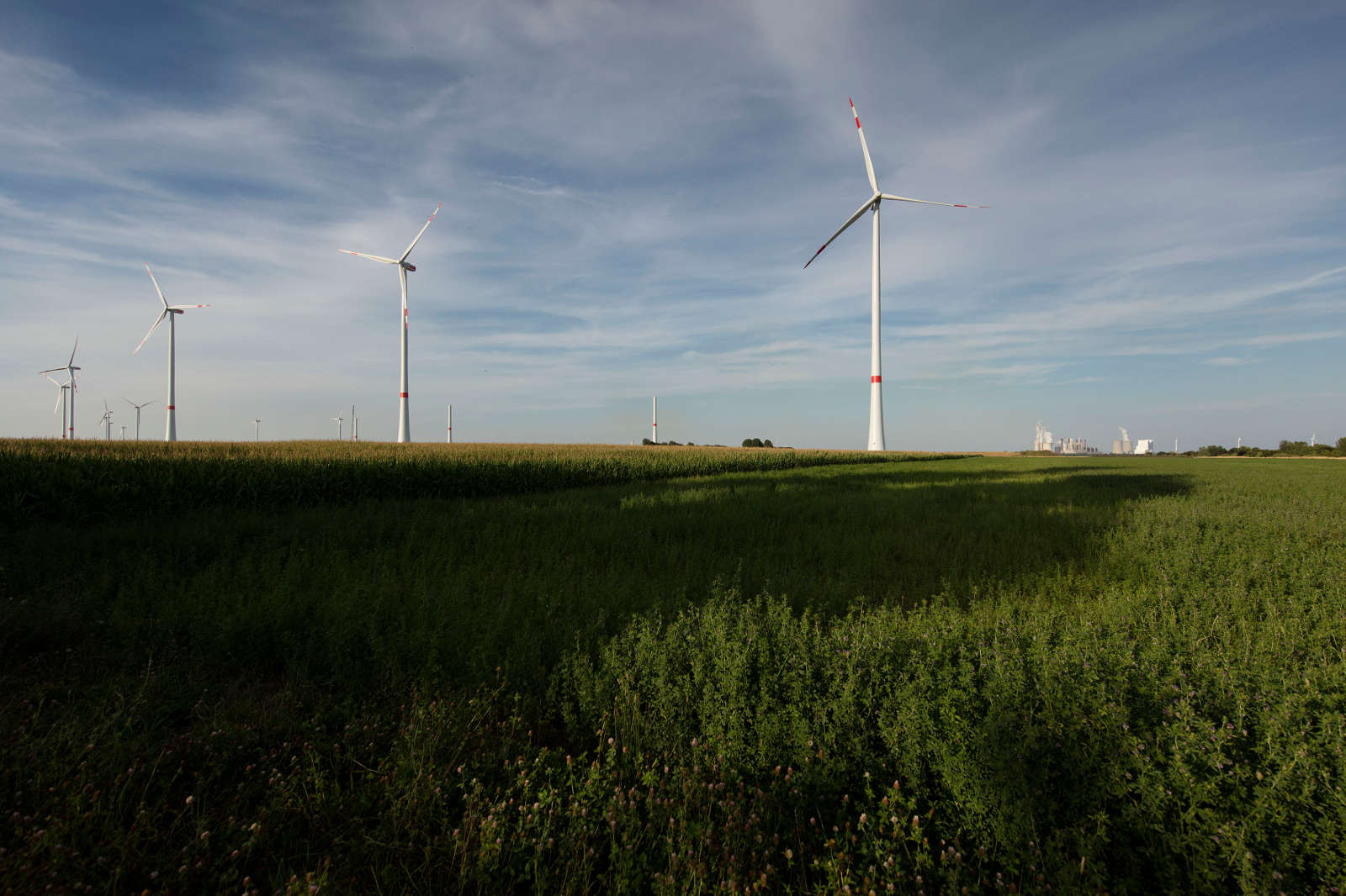 Windkraftanlagen ragen hoch in einem grünen Feld unter einem teilweise bewölkten Himmel. Die Landschaft zeigt erneuerbare Energien.
