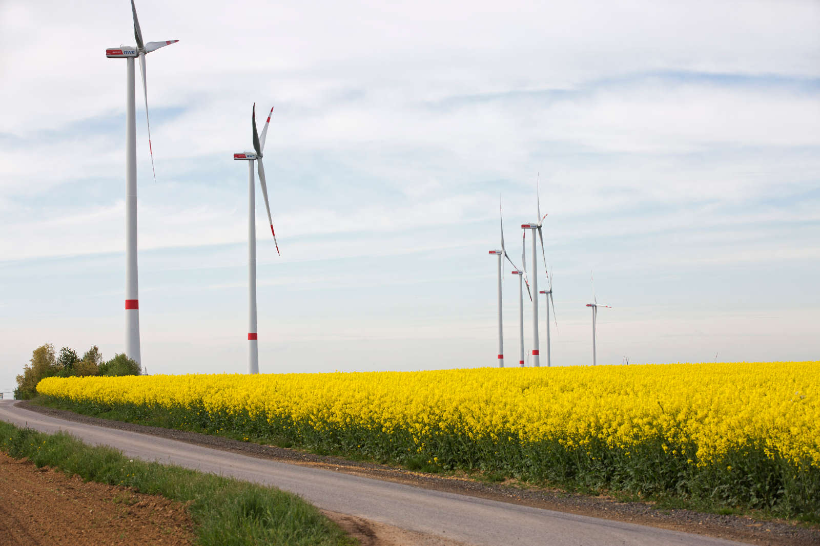Eine Landstraße führt vorbei an gelben Rapsfeldern und Windkraftanlagen unter einem hellen Himmel.