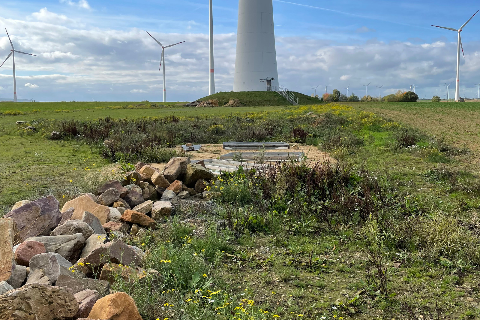 Ein grasiges Feld mit Wildblumen, Steinen und einer Turbine im Hintergrund unter einem wolkigen Himmel.