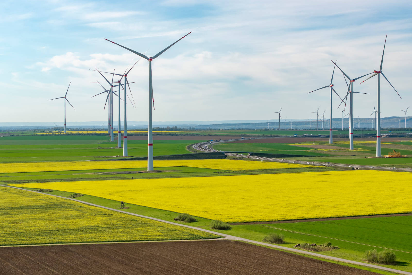 Eine Landschaft mit Windkraftanlagen auf einem grünen Feld, mit leuchtend gelben Blumen unter einem klaren Himmel.