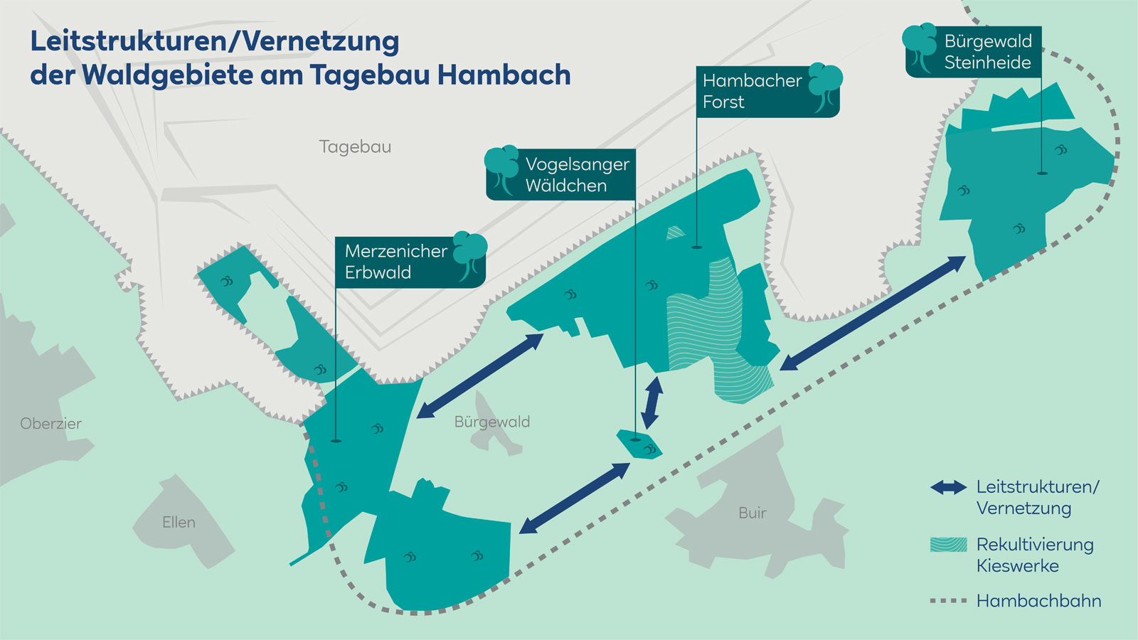 Eine Karte zeigt die Vernetzung der Waldgebiete am Tagebau Hambach mit markierten Bereichen wie Merzenicher Erbwald und Hammacher Forst.