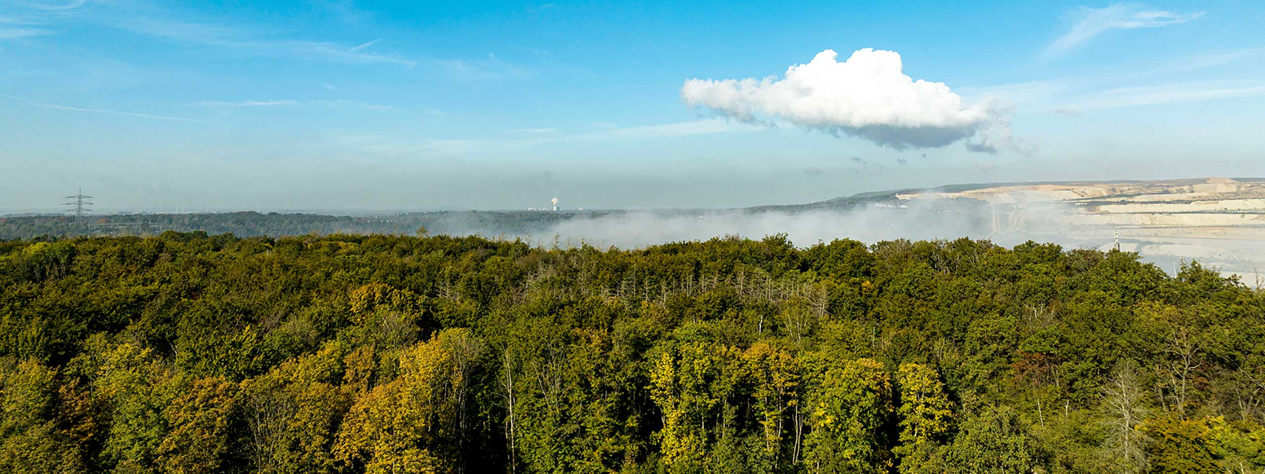 Luftaufnahme eines üppigen Waldes unter einem klaren blauen Himmel mit einer einzelnen Wolke und fernen Hügeln.