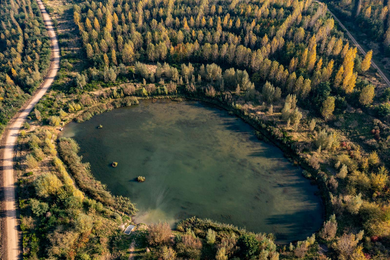 Luftaufnahme eines ovalen Teiches, umgeben von buntem Laub und Wäldern in verschiedenen Grüntönen.