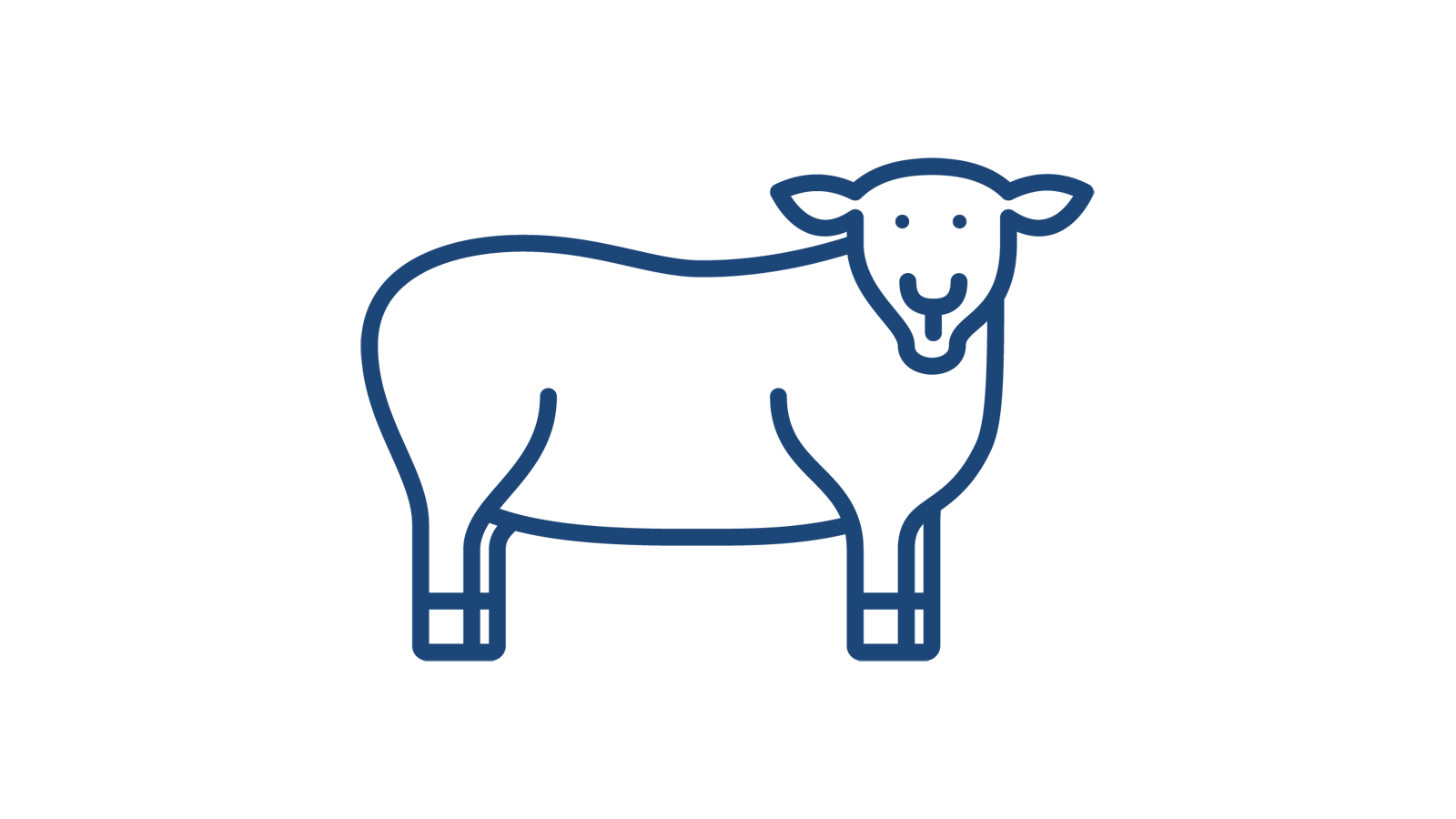 Eine einfache Strichzeichnung eines Schafes, das seitlich mit einem freundlichen Ausdruck steht.