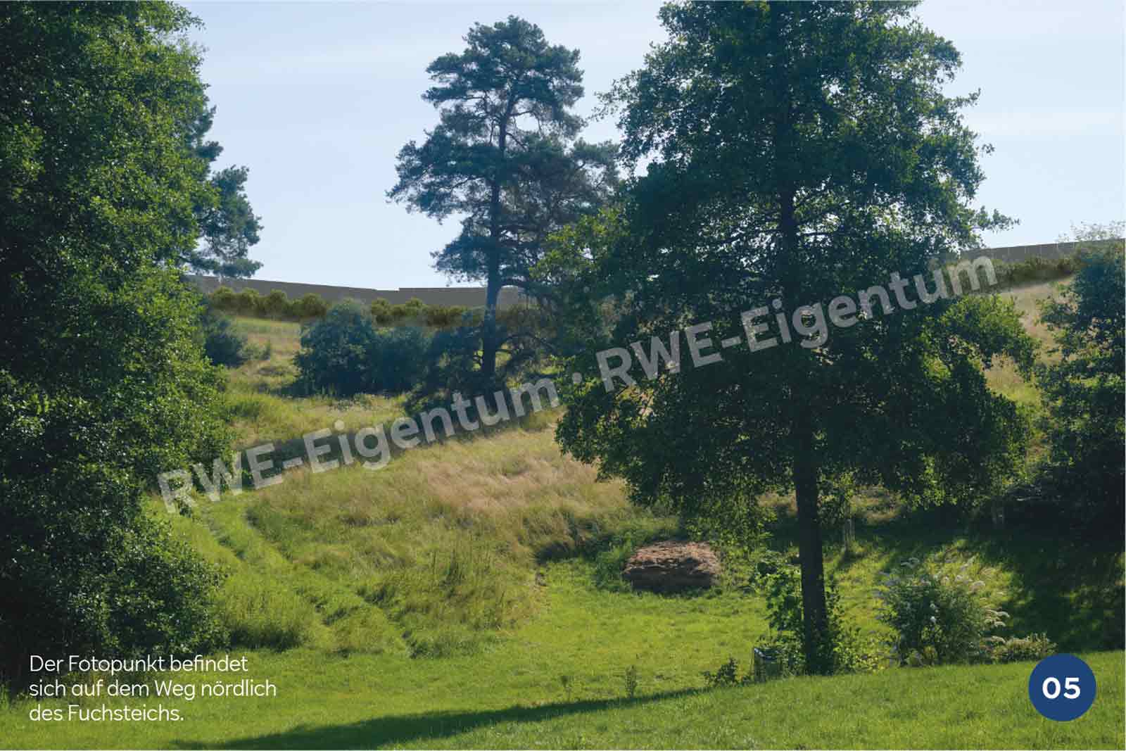 Eine ruhige Landschaft mit zwei hohen Bäumen, grünem Gras und klarem Himmel. Ein Weg führt durch die Szenerie und zeigt eine ländliche Umgebung.