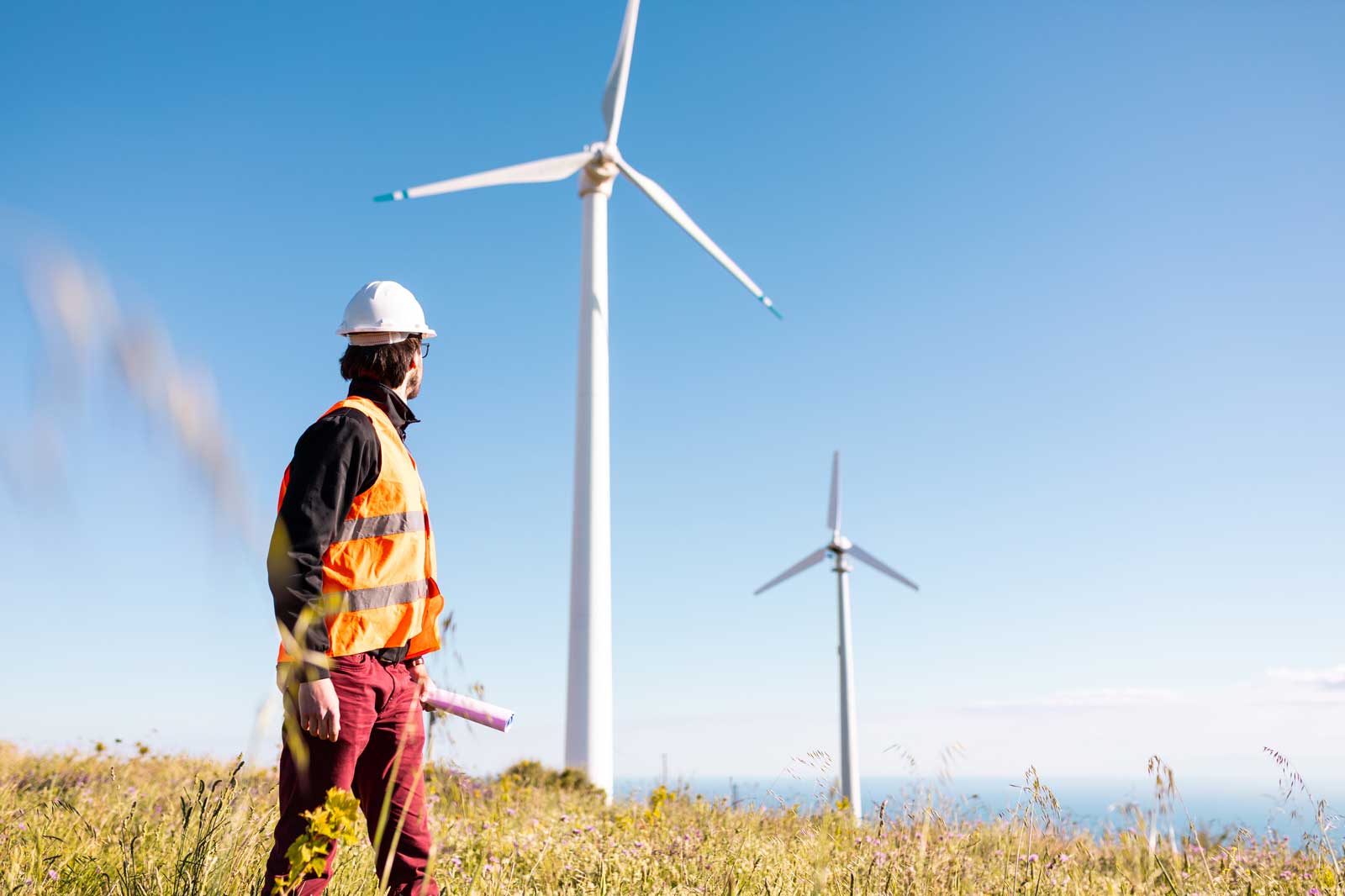 A worker in a safety vest and hard hat stands in a field with wind turbines, holding blueprints and looking towards the turbines.
