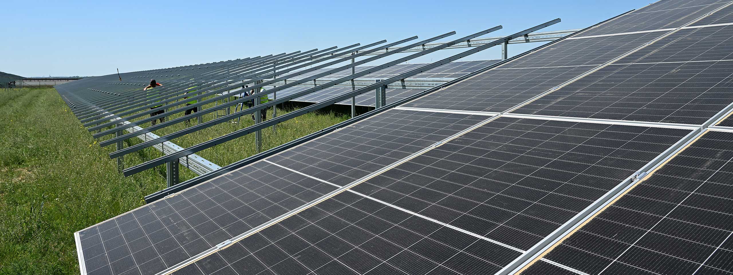 A worker inspects solar panels in a field. In the background, more solar units and a clear blue sky are visible.