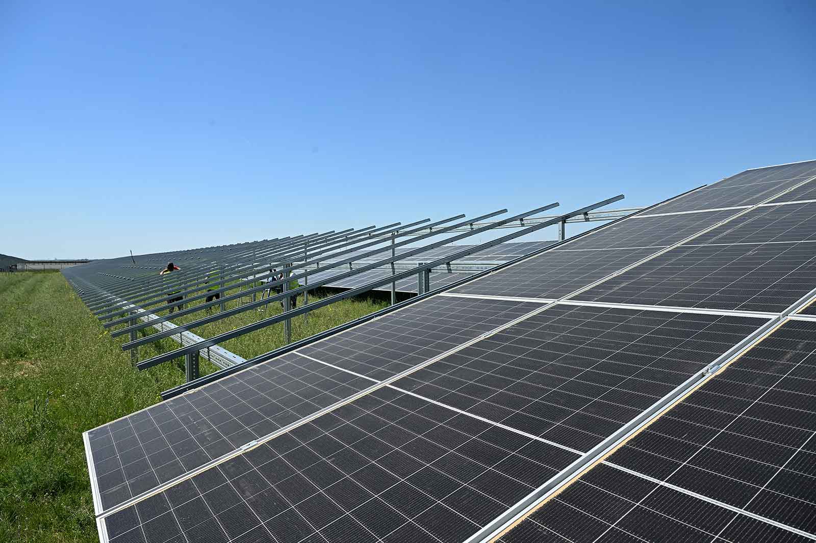 Eine Solaranlage mit verschiedenen Fotovoltaik-Panels unter klarem Himmel. Im Hintergrund sieht man einen Arbeiter.