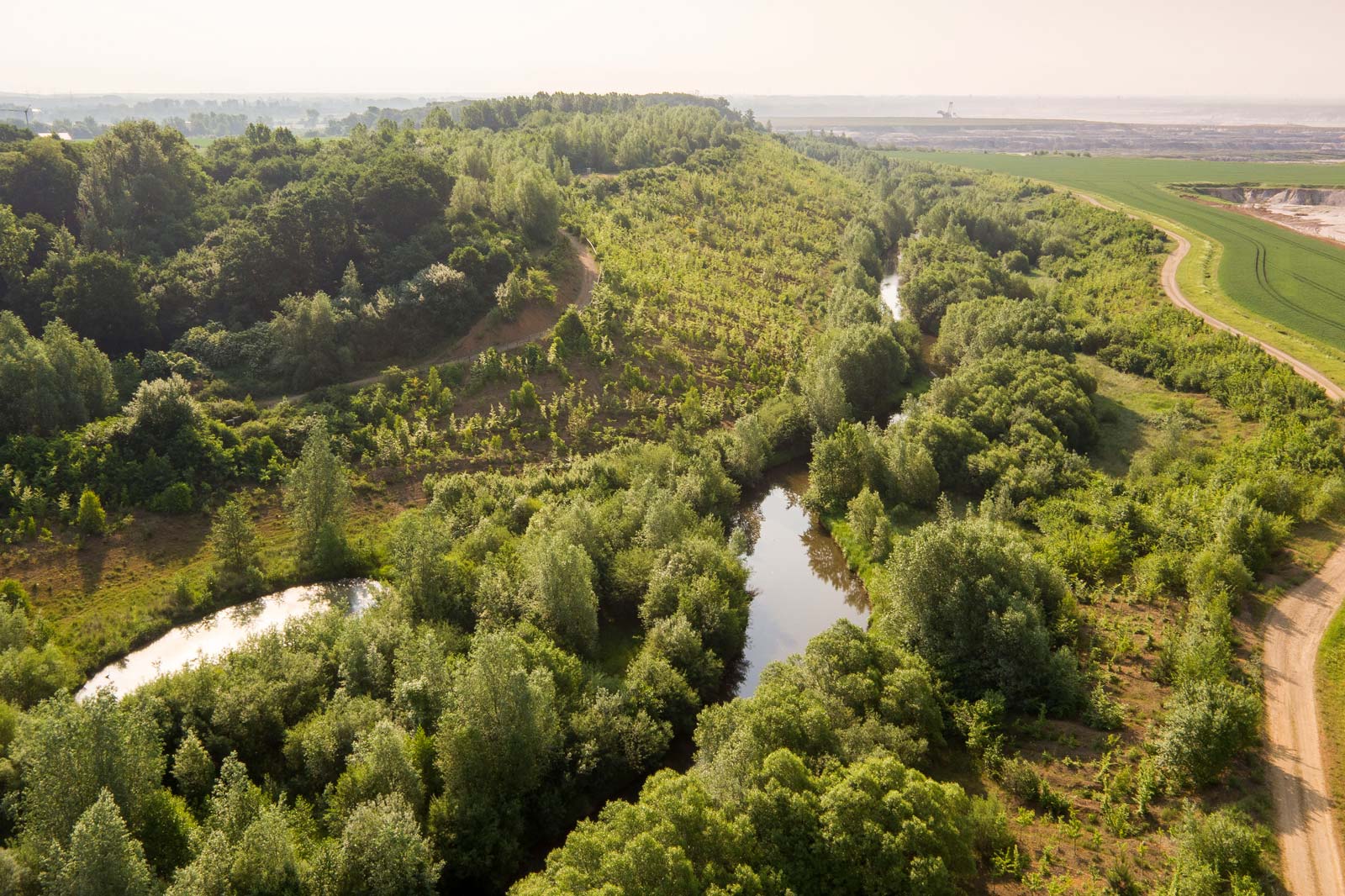 Aerial view of a lush landscape featuring trees, a river, and gentle hills in the background.