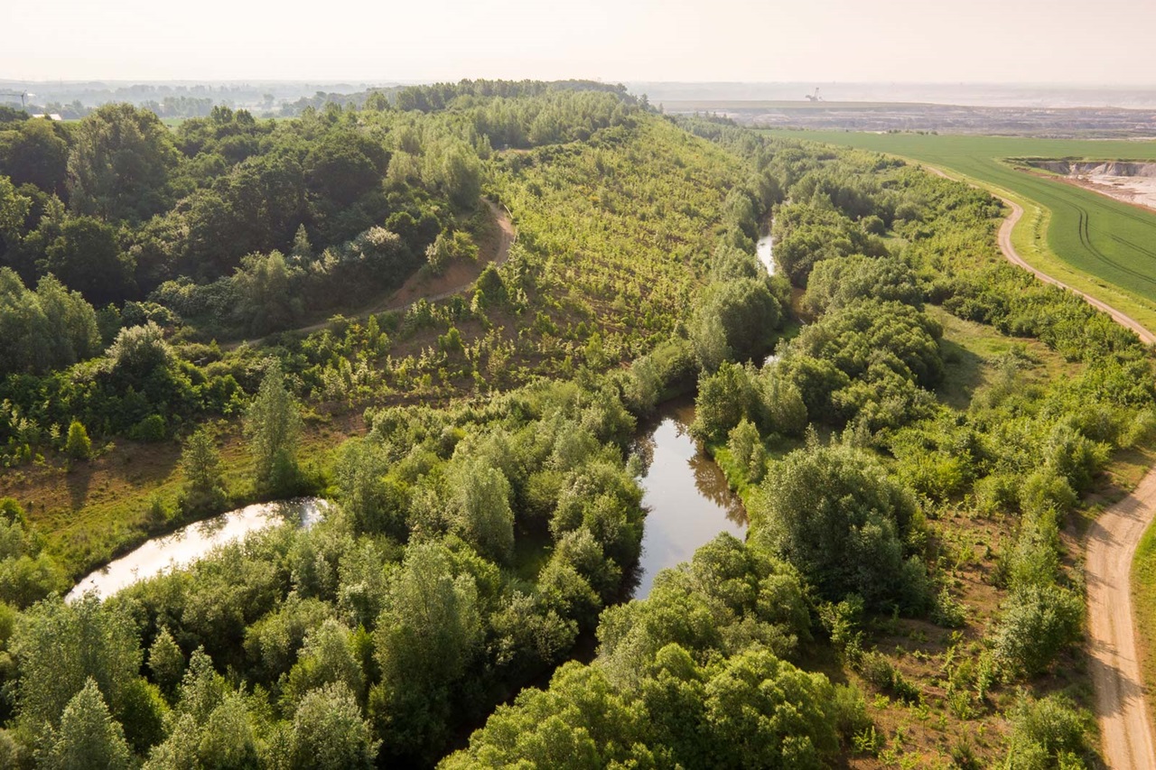 Aerial view of a lush landscape featuring trees, a river, and gentle hills in the background.
