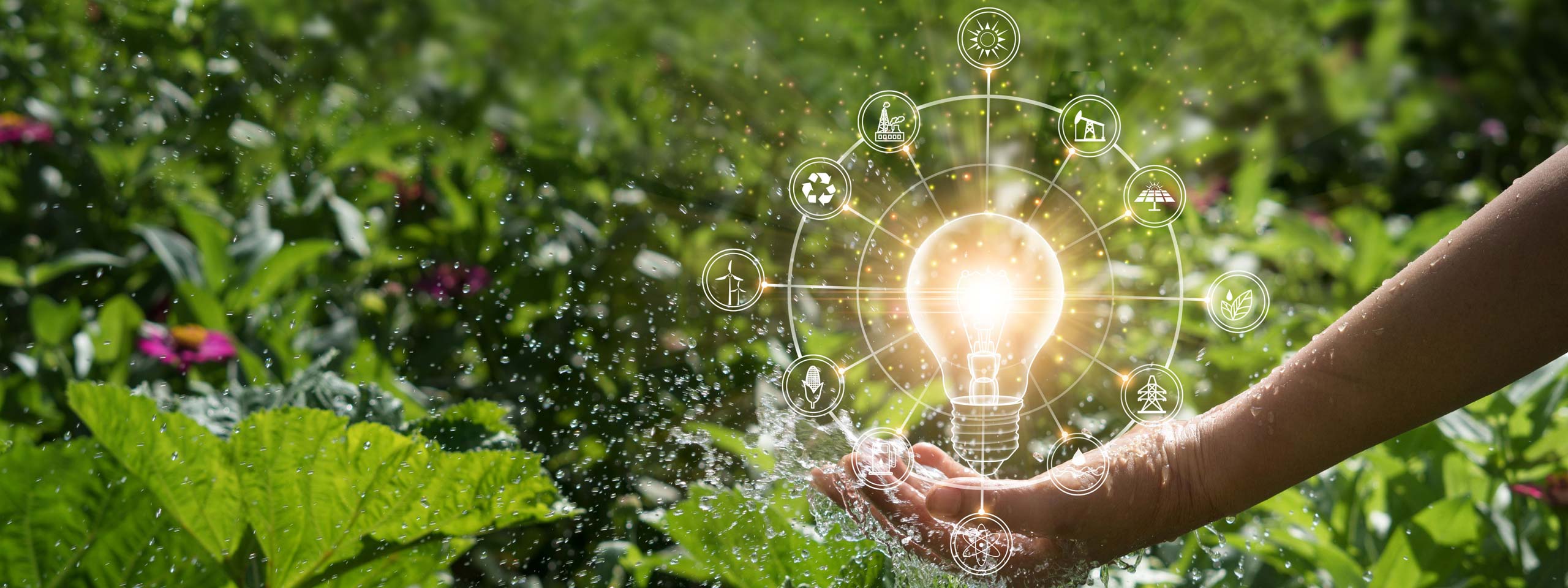 A hand holds water amidst plants, featuring a glowing light bulb symbol and various icons representing renewable energy.