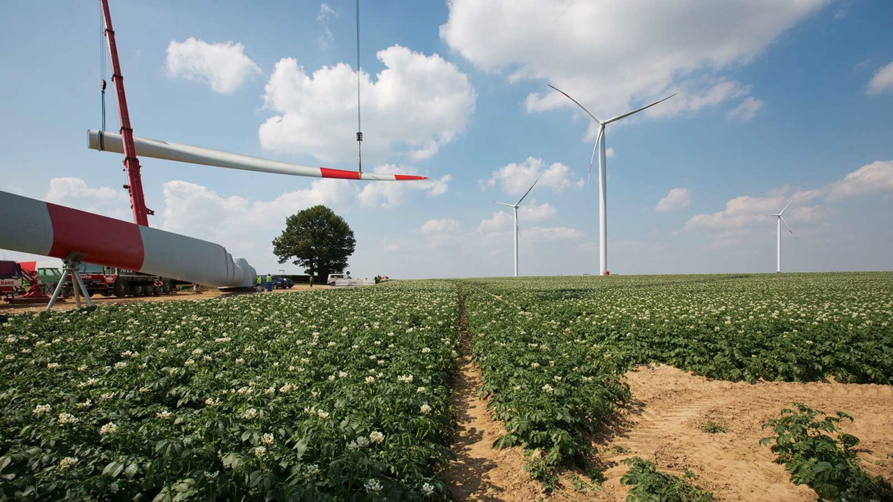 Eine Windturbine in einem Feld mit blühenden Pflanzen, während ein Kran Turbinenblätter unter einem blauen Himmel installiert.