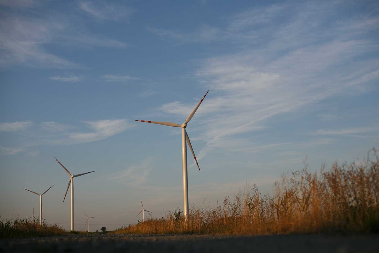 Wind turbines stand against a blue sky, surrounded by tall grass and soft clouds.