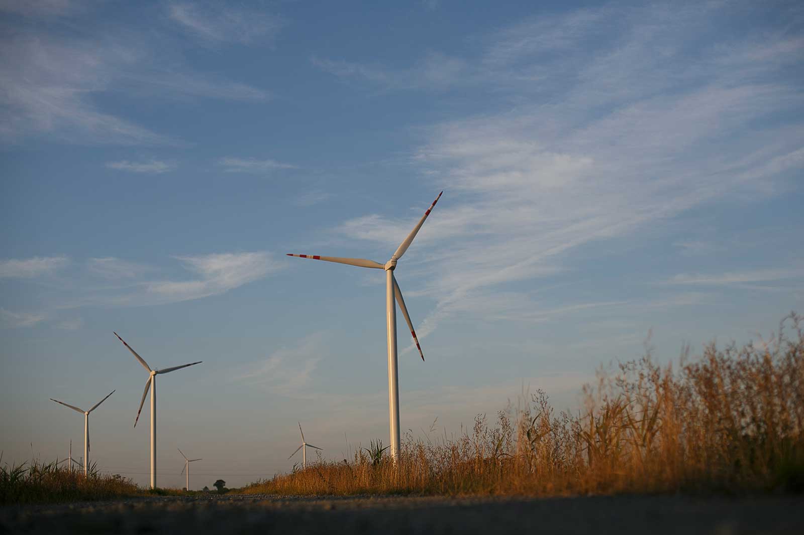 Windkraftanlagen stehen vor einem blauen Himmel, umgeben von hohem Gras und sanften Wolken.