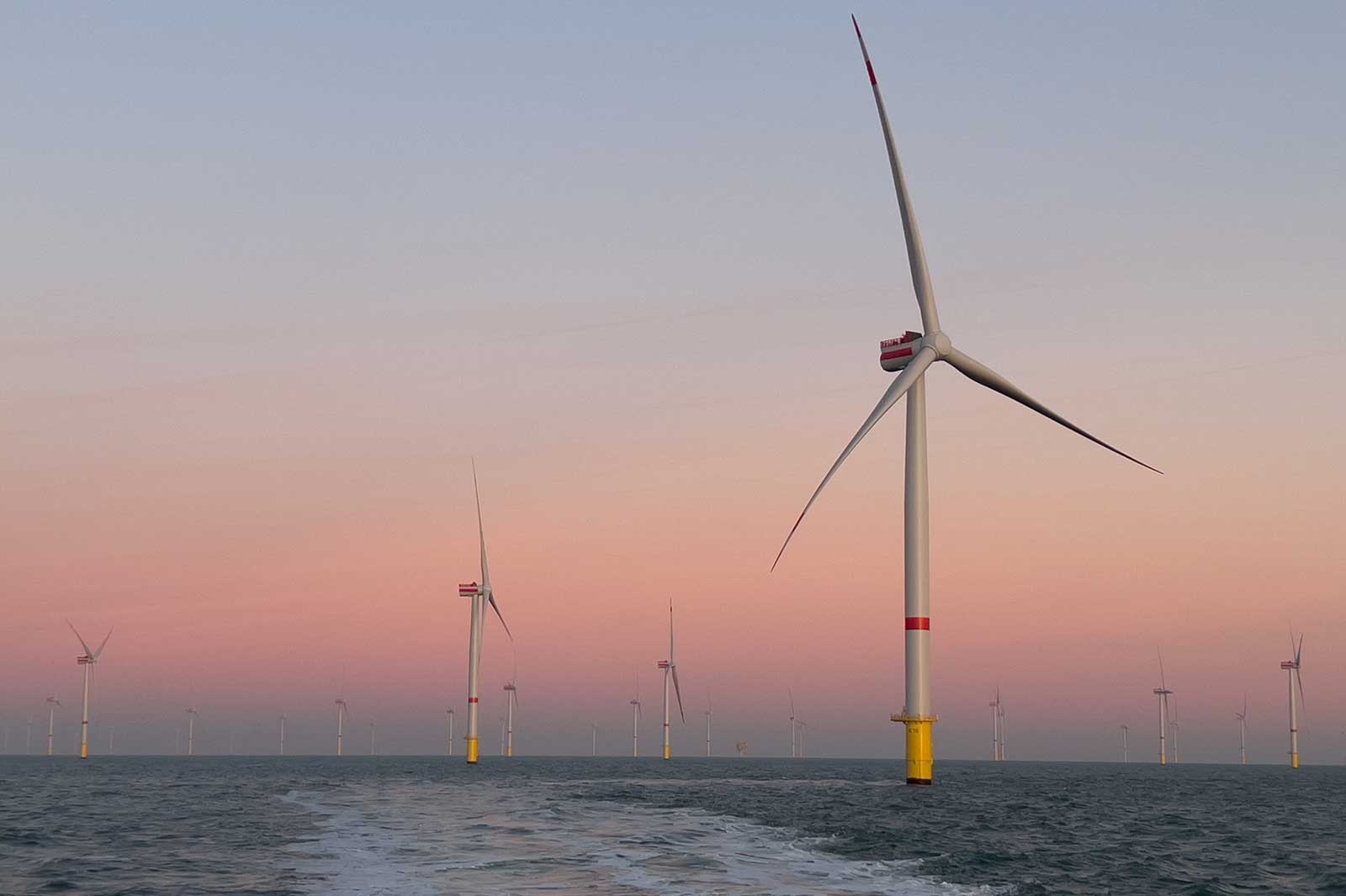 Mehrere Windkraftanlagen stehen majestätisch im Wasser vor einem sanften rosa Himmel bei Sonnenuntergang.