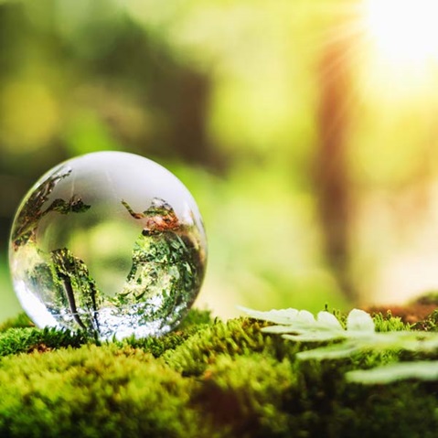 A clear glass orb resting on moss, reflecting the natural surroundings with soft light in the background.