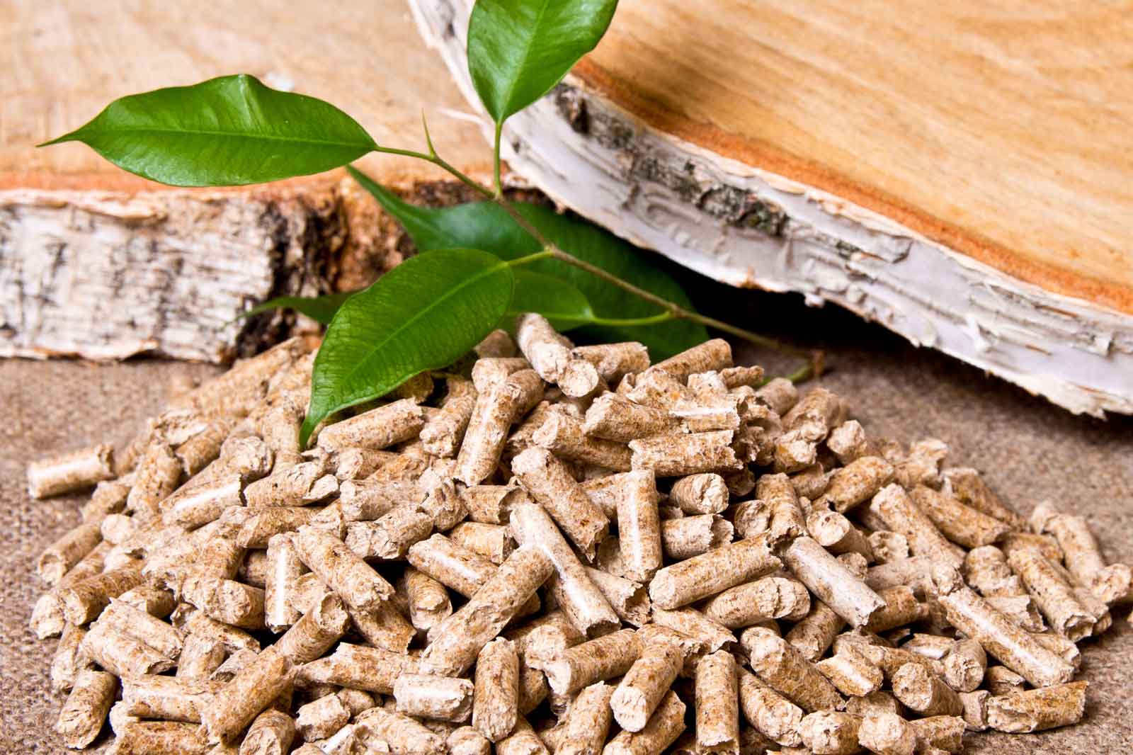 Ein Haufen Holzpellets mit grünen Blättern und einem Stück Holz im Hintergrund.