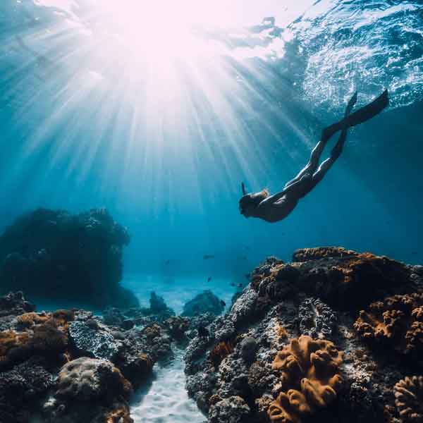 Ein Taucher schwimmt durch ein klares, blaues Wasser, umgeben von Korallen und Sonnenstrahlen, die durch das Wasser scheinen.