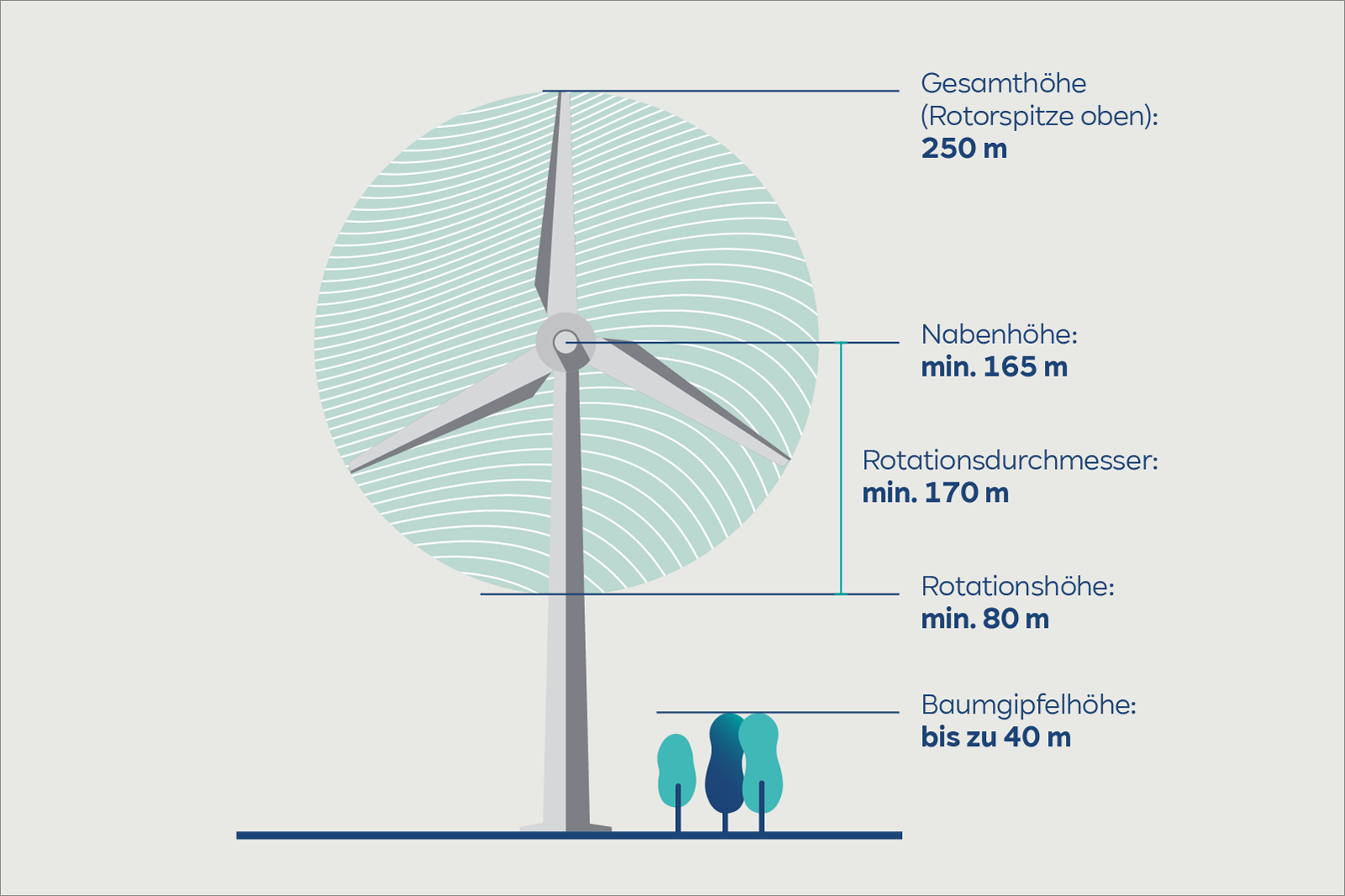 So groß ist eine im Wald stehende Windanlage (WEA) | Windenergie im Wald | RWE