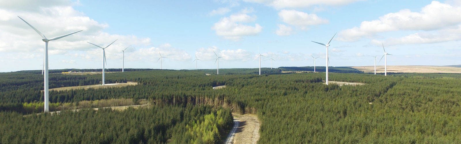 Wie entsteht ein Windpark im Wald | RWE
