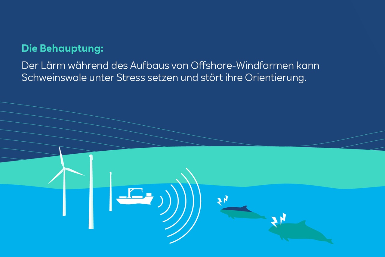 Eine Illustration, die Offshore-Windkraftanlagen, ein Boot und von Baulärm betroffene Delfine zeigt.