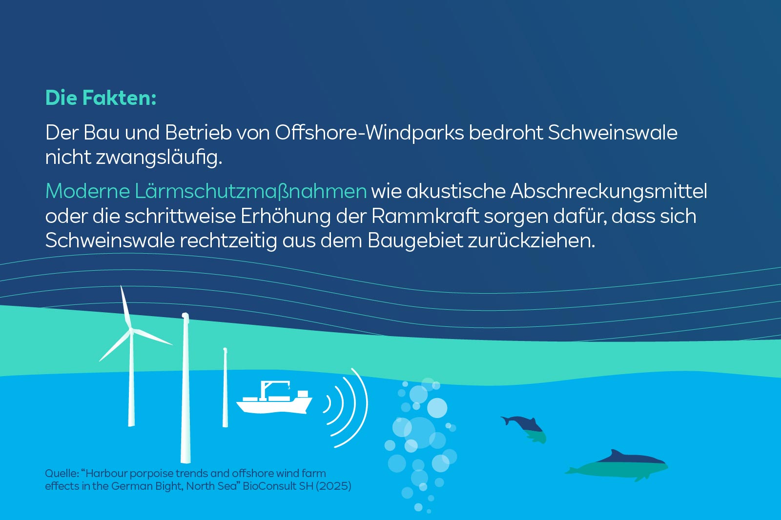 Eine grafische Darstellung mit Offshore-Windparks, einem Boot und Schweinswalen im Wasser. Hinweise zur Lärmminderung sind sichtbar.