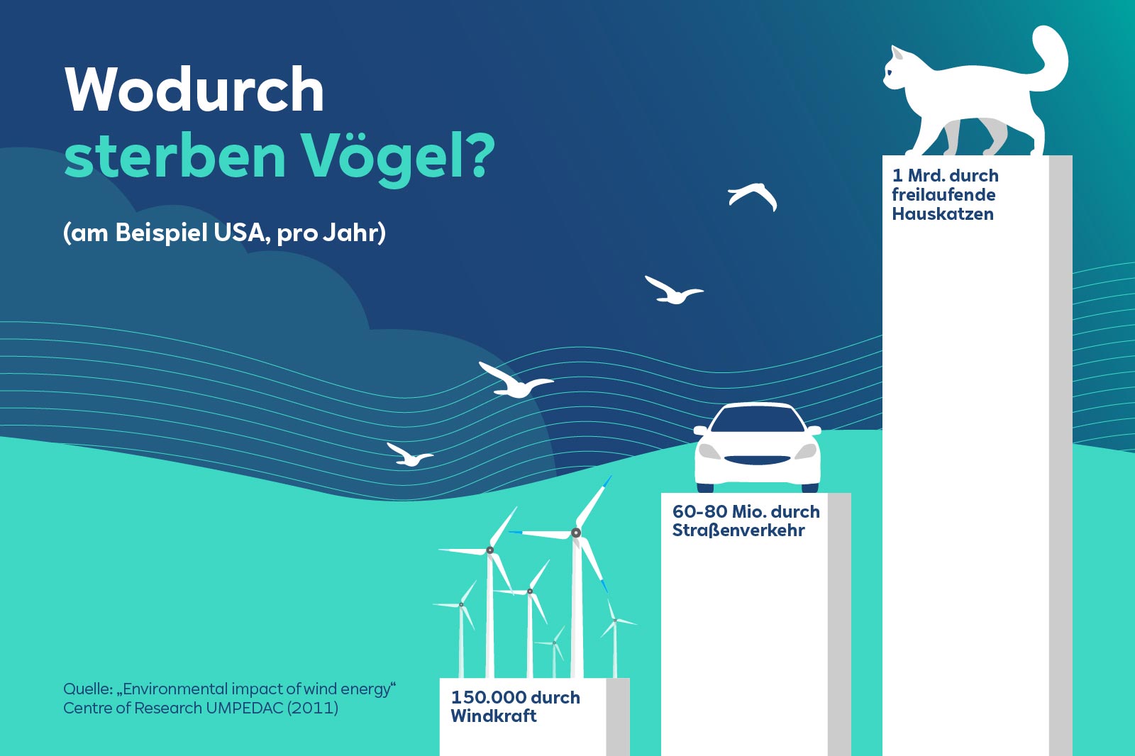 Eine Infografik, die die Ursachen für Vogelsterben in den USA zeigt, mit Schwerpunkt auf freilaufenden Katzen und Windkraft.