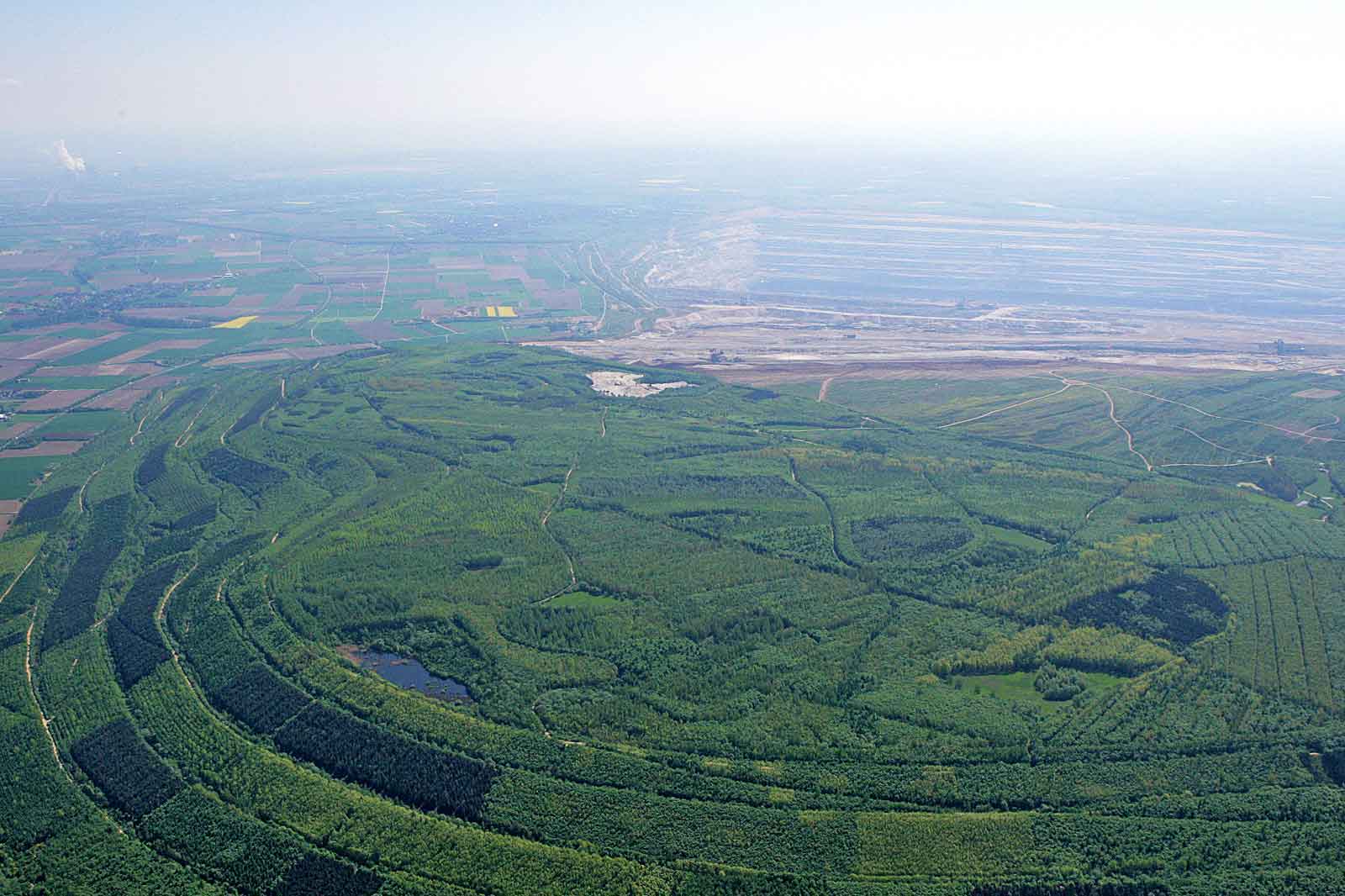 Luftaufnahme eines üppigen grünen Waldes, der mit kargem Land und Feldern in der Ferne kontrastiert.