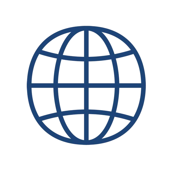 A simple blue globe icon featuring grid lines, representing global connectivity or geography.
