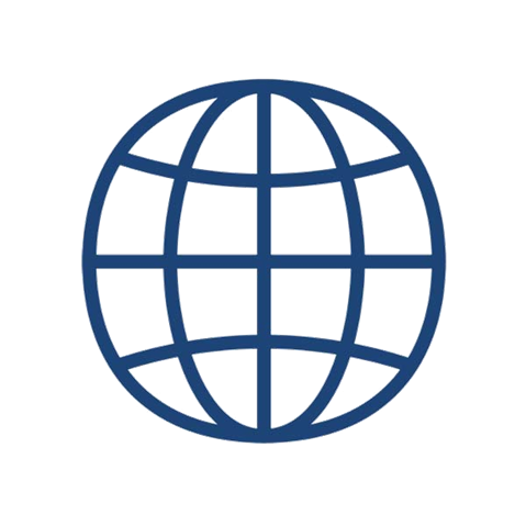 A simple blue globe icon featuring grid lines, representing global connectivity or geography.