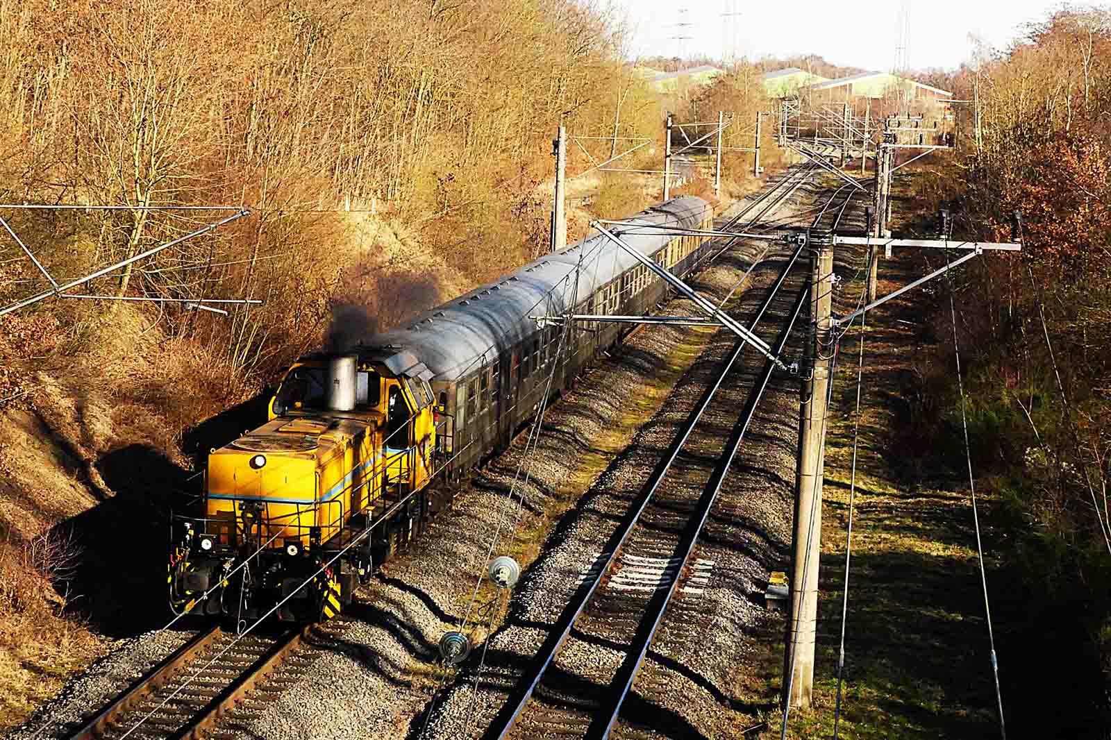 Gelbe Diesellok zieht mehrere dunkelgraue Personenwagen auf geraden Gleisen durch eine sonnige, von kahlen Bäumen gesäumte Bahntrasse mit Oberleitungsmasten.