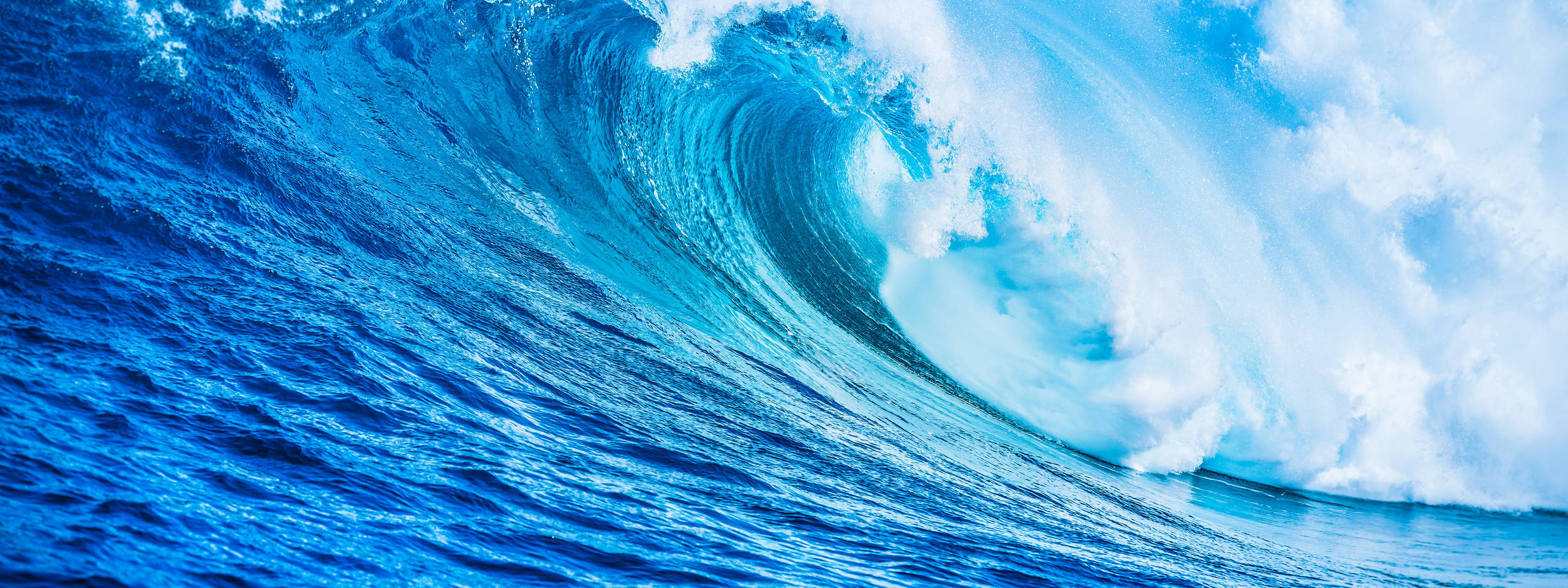 A large, powerful wave crashes in the ocean, with a blue sky unfolding in the background.