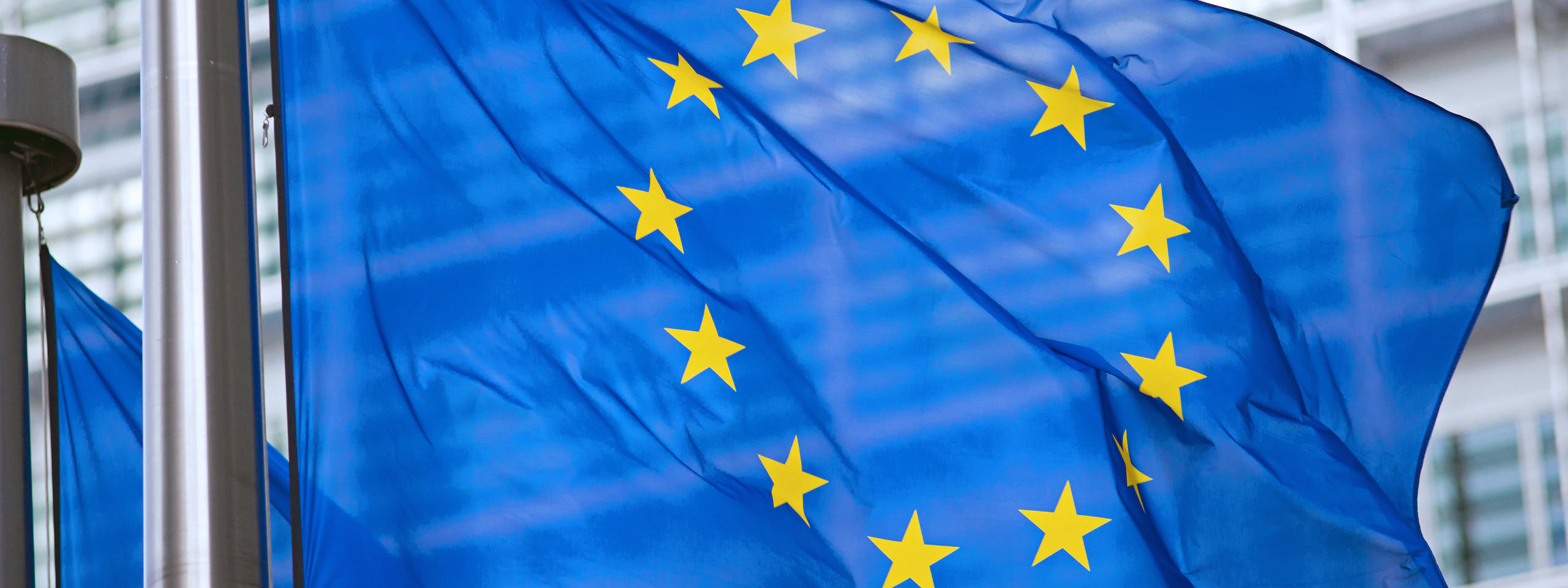 The European Union flag flutters in the wind with golden stars on a blue background.