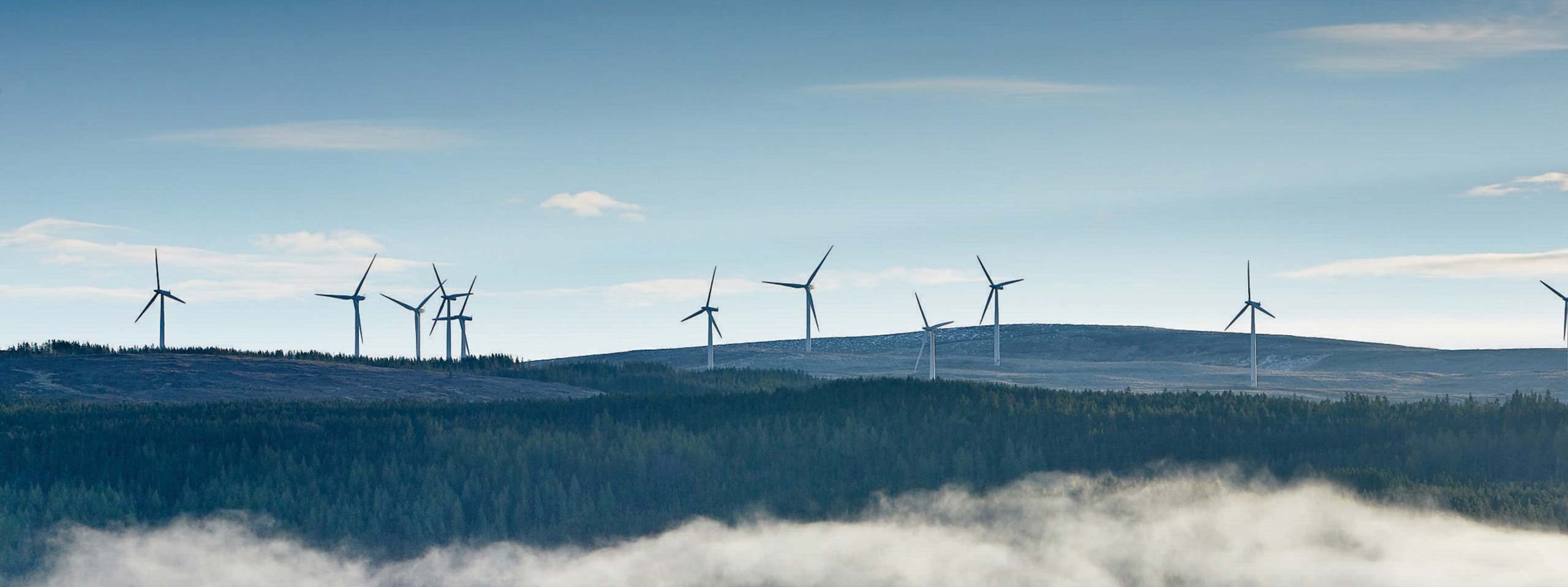 A landscape featuring wind turbines on rolling hills surrounded by forests and fog in the foreground.