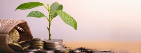 A small plant grows from a pile of coins, with a jute bag containing more coins in the background.