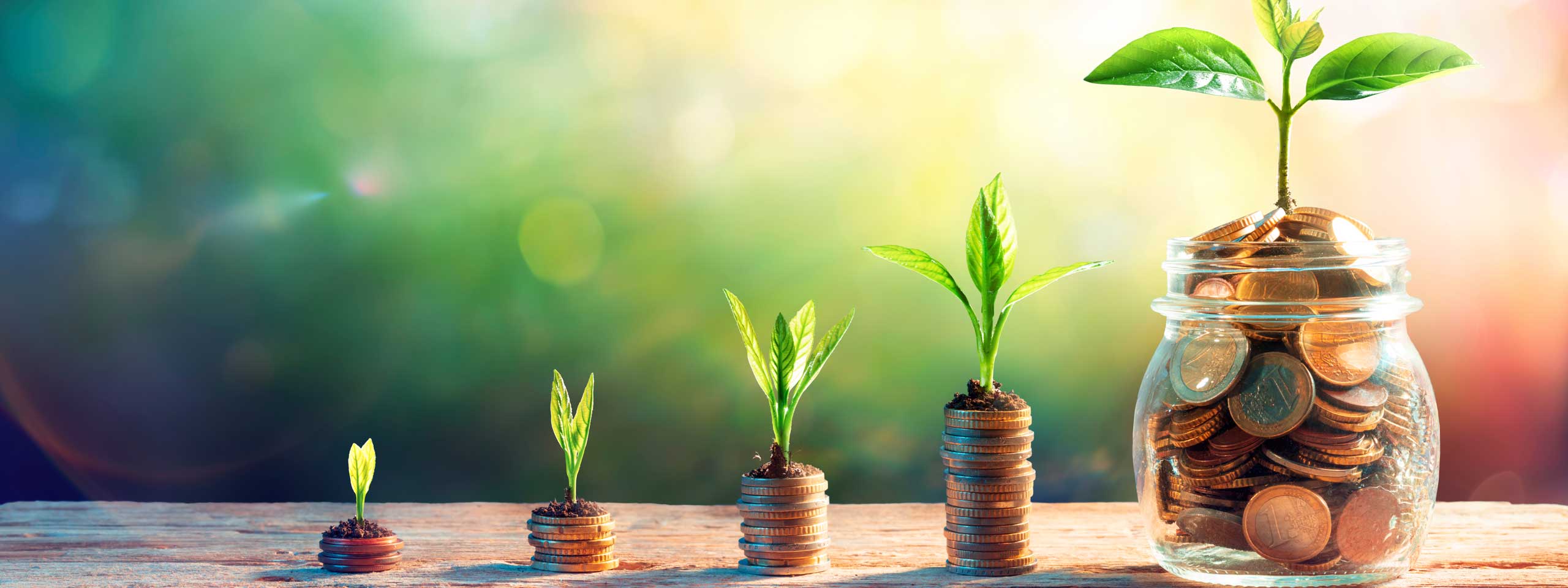 Wachstum von Pflanzen auf Münzstapeln mit einem Glas voller Münzen im Hintergrund.