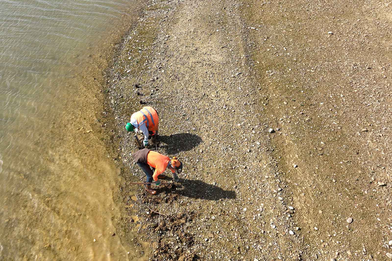Zwei Mitarbeitende entnehmen Bodenproben am Flussufer.