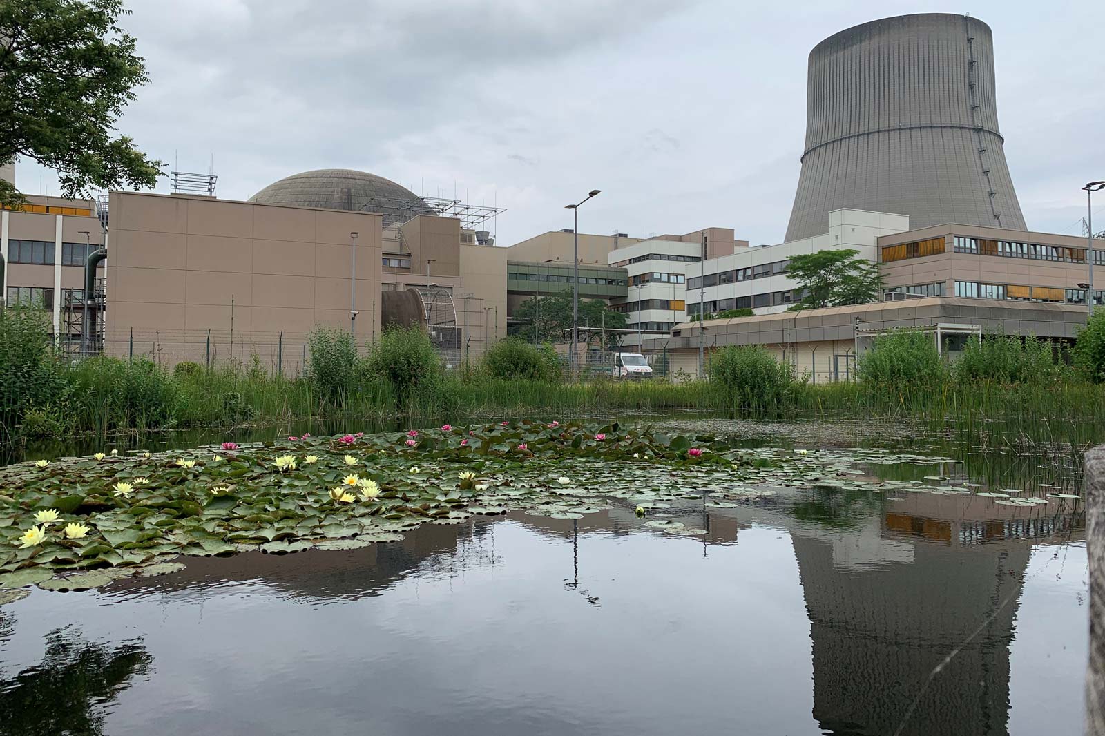 Ein Kraftwerk mit Kühltürmen neben einem Gewässer, das mit Seerosen und Blumen bedeckt ist.