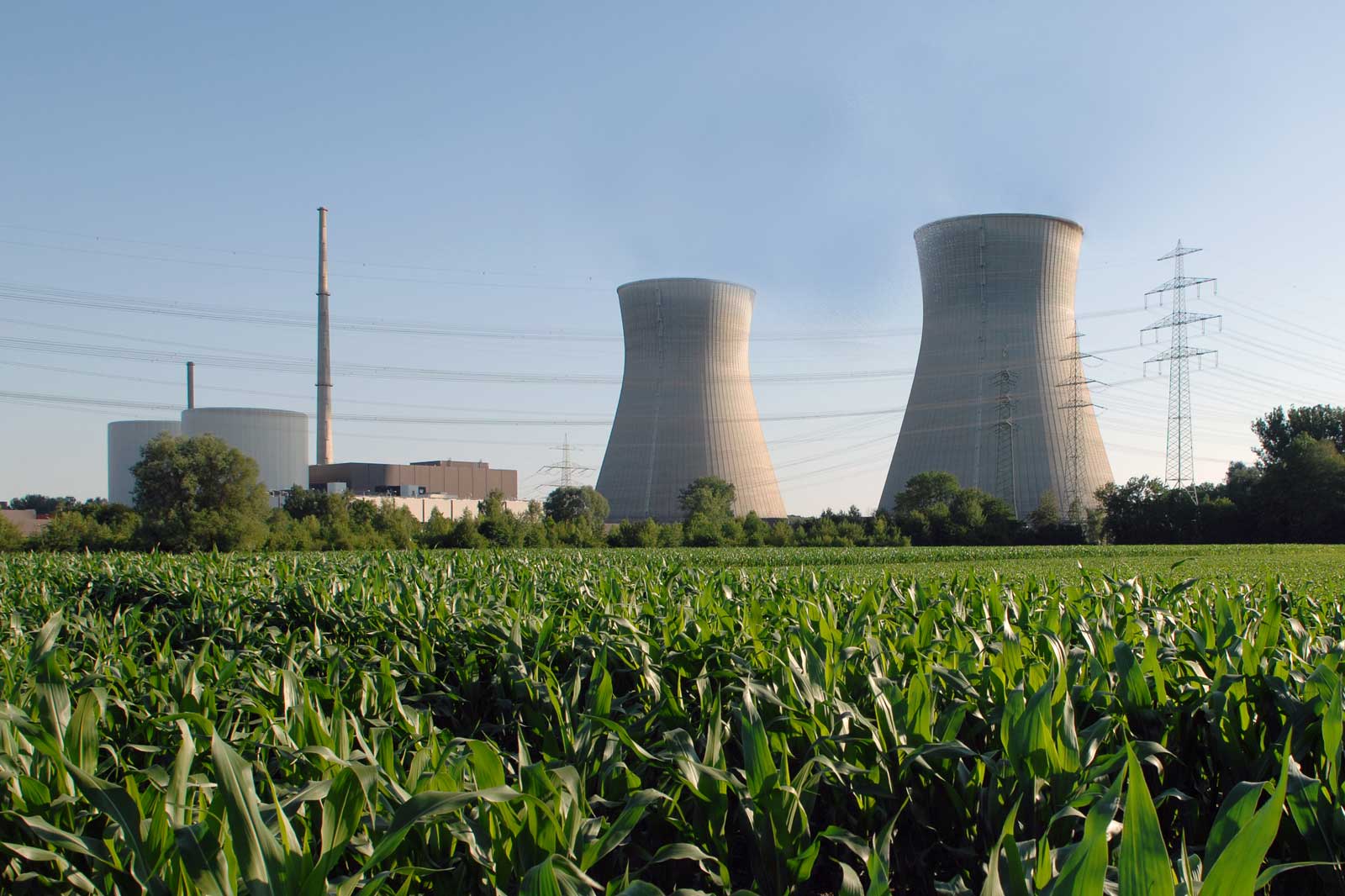 Ein Kernkraftwerk mit Kühltürmen im Hintergrund, umgeben von grünen Maisfeldern und klarem blauen Himmel.