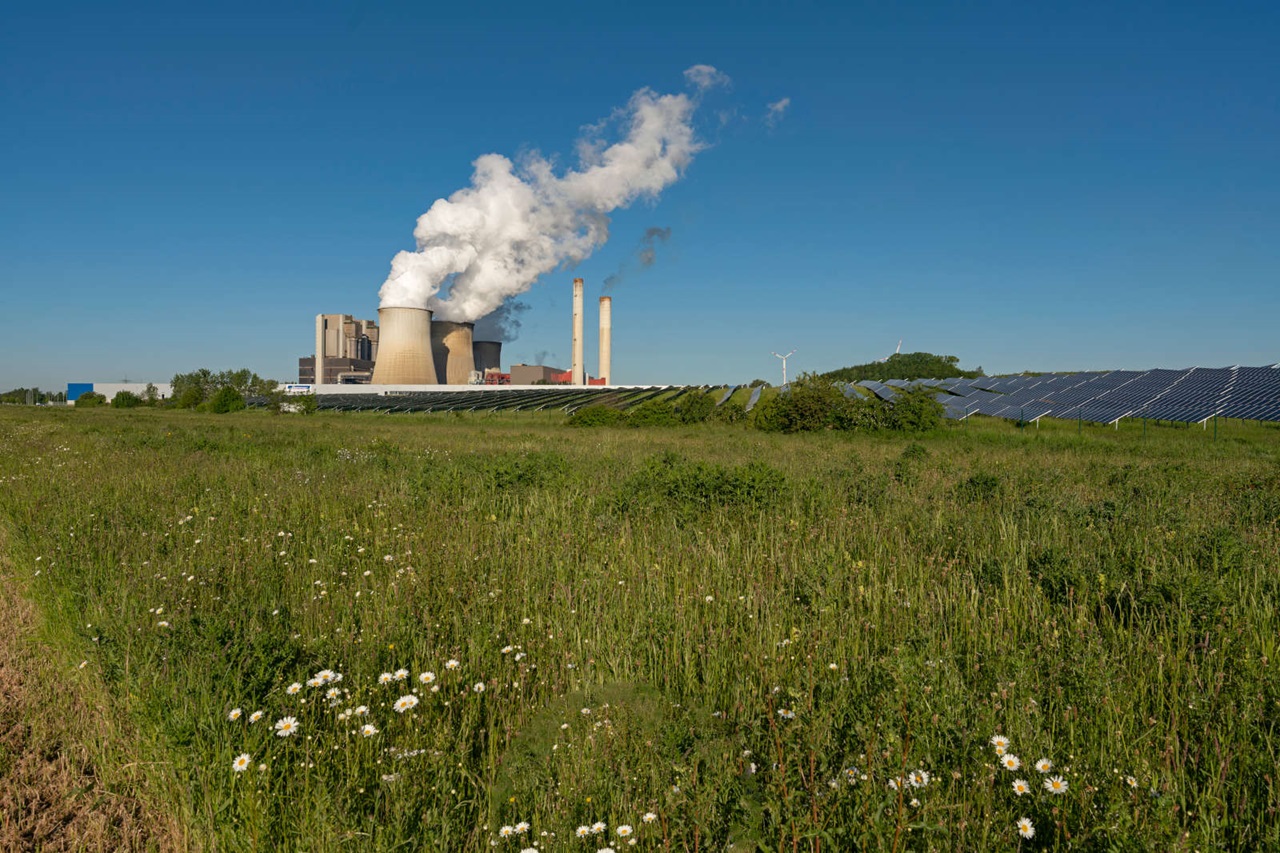 Eine grüne Wiese mit Blumen im Vordergrund, im Hintergrund ein Kraftwerk mit Rauch und Solarpanelen.